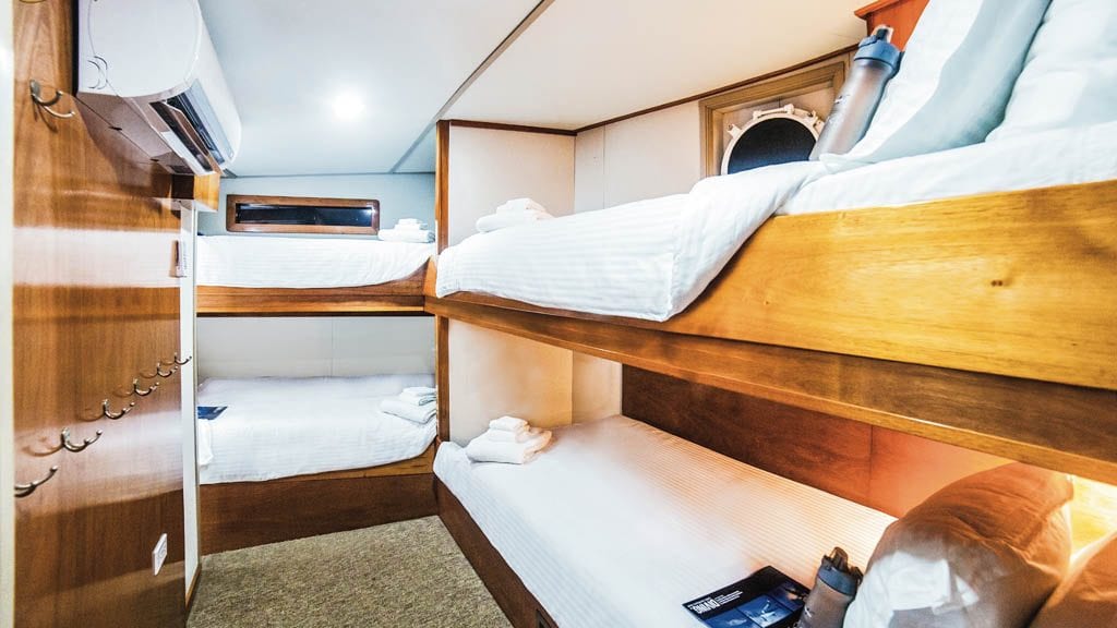 Nautilus Under Sea liveaboard Socorro & Guadalupe Islands Mexico-Stateroom-triple