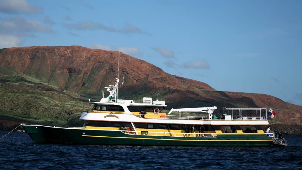 Solmar V classic liveaboard Socorro & Guadalupe Islands-external-hero2