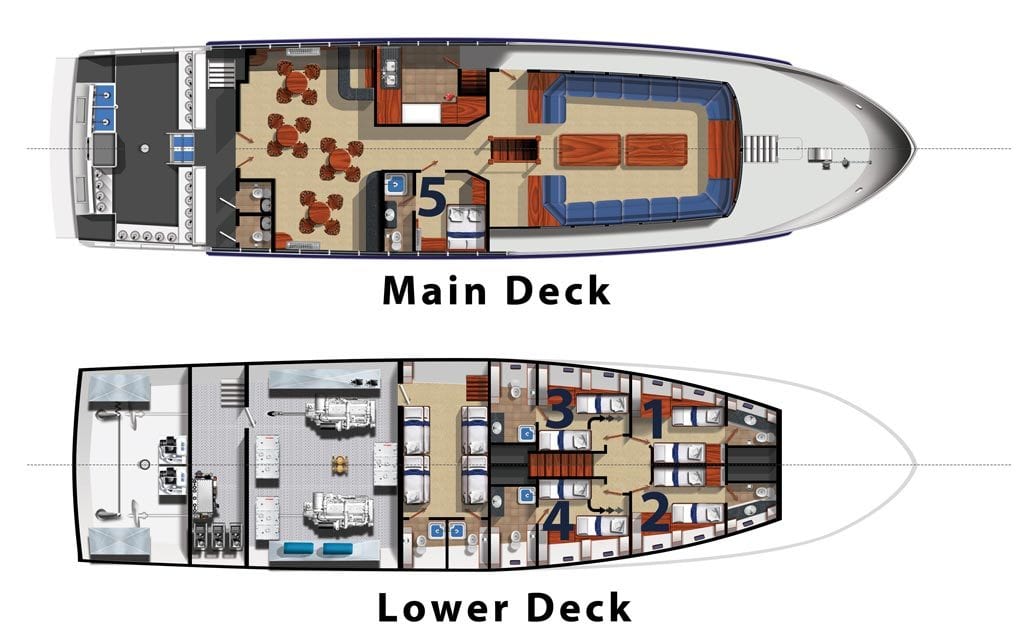 Galapagos Master Liveaboard Diving Galapagos Wolf & Darwin-cabin layout2