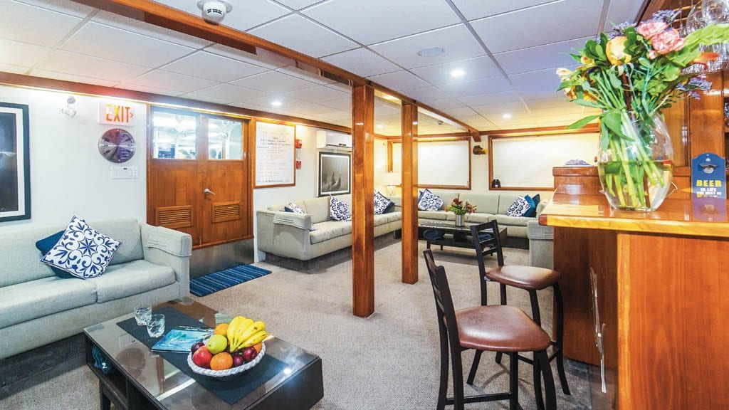 Nautilus Explorer Liveaboard Socorro & Guadalupe Islands Mexico-lounge2