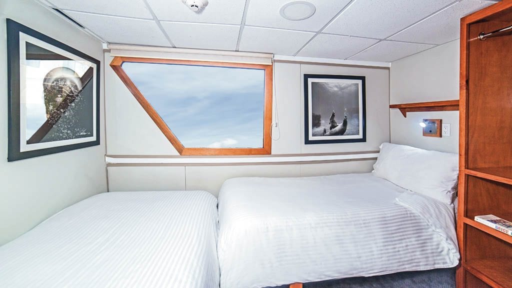 Nautilus Under Sea liveaboard Socorro & Guadalupe Islands Mexico-ADA Suite