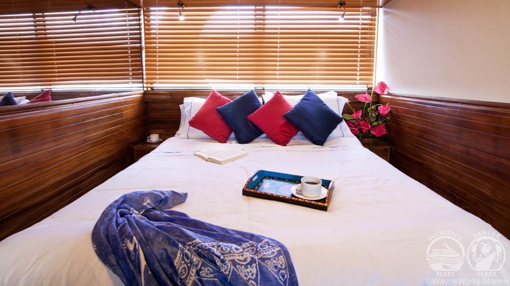 Galapagos aggressor liveaboard galapagos islands master cabin