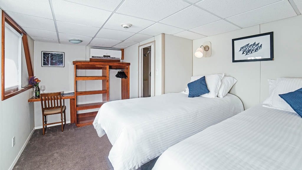 Nautilus Explorer Liveaboard Socorro & Guadalupe Islands Mexico-suite bedroom
