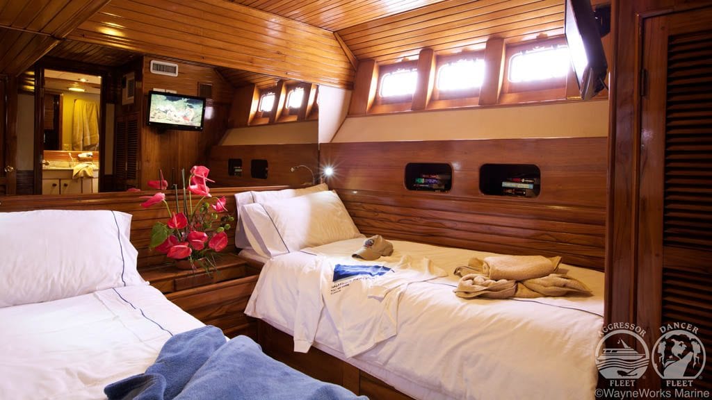 Galapagos aggressor liveaboard galapagos islands deluxe cabin