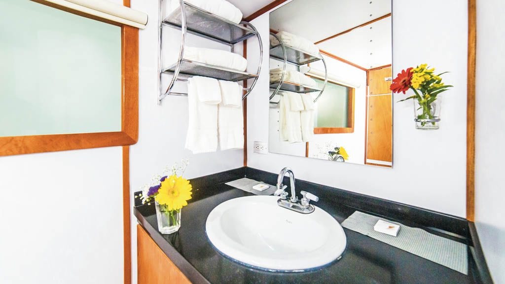 Nautilus Under Sea liveaboard Socorro & Guadalupe Islands Mexico-premium bathroom