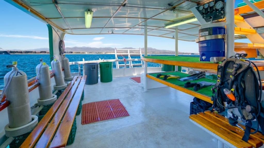Solmar V classic liveaboard Socorro & Guadalupe Islands-dive deck
