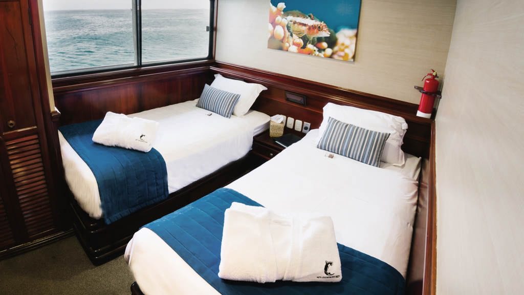Galapagos sky liveaboard galapagos islands master twin cabin