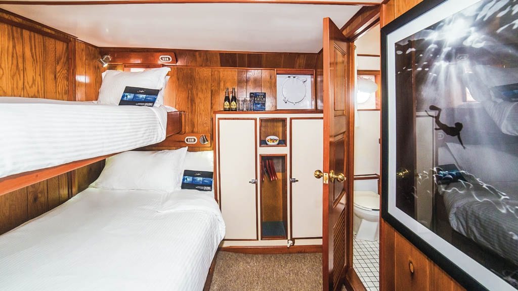 Nautilus Under Sea liveaboard Socorro & Guadalupe Islands Mexico-stateroom