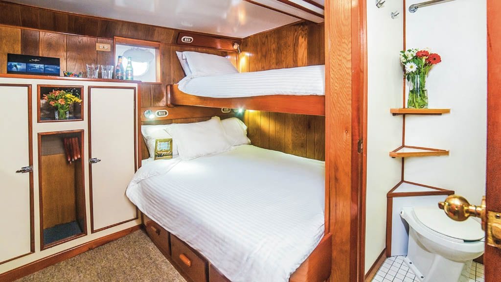 Nautilus Under Sea liveaboard Socorro & Guadalupe Islands Mexico-stateroom2
