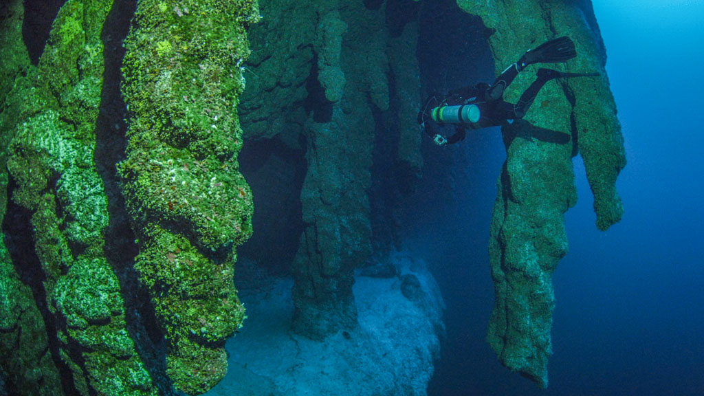Diving Blue Hole Belize Yucatan Dive Trek 0915