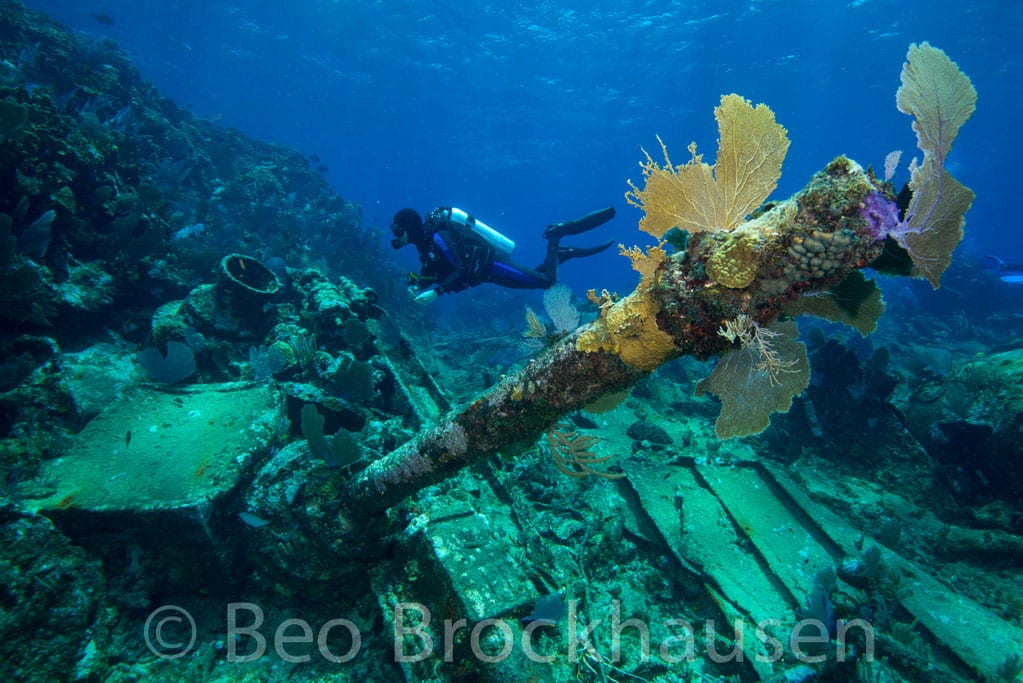 Diving Chinchorro Yucatan Dive Trek wreck_0716