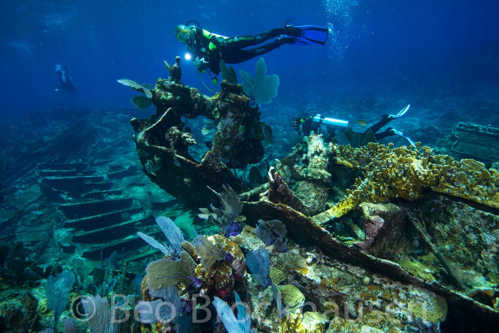 Diving Chinchorro Yucatan Dive Trek wreckage_0716