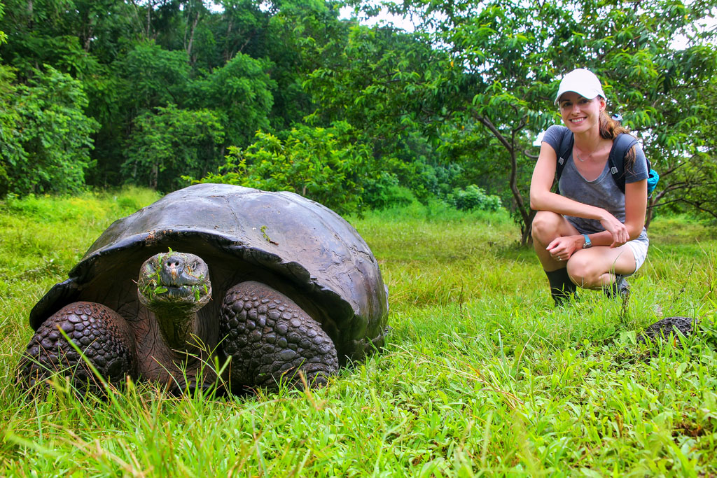 Diving Galapagos tortoise shutterstock_729071953