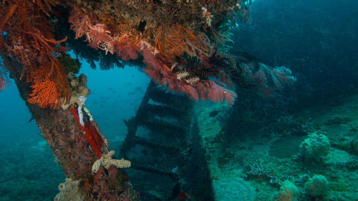 Diving Gili Islands Bounty wreck