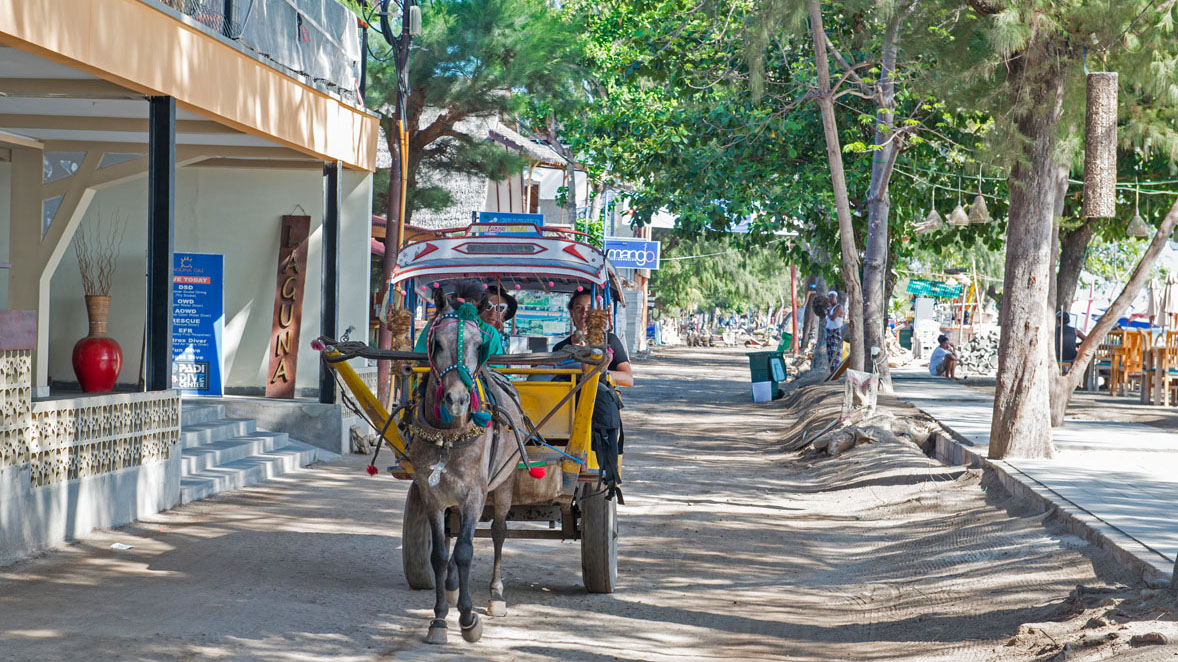 Diving Gili Islands horse and cart