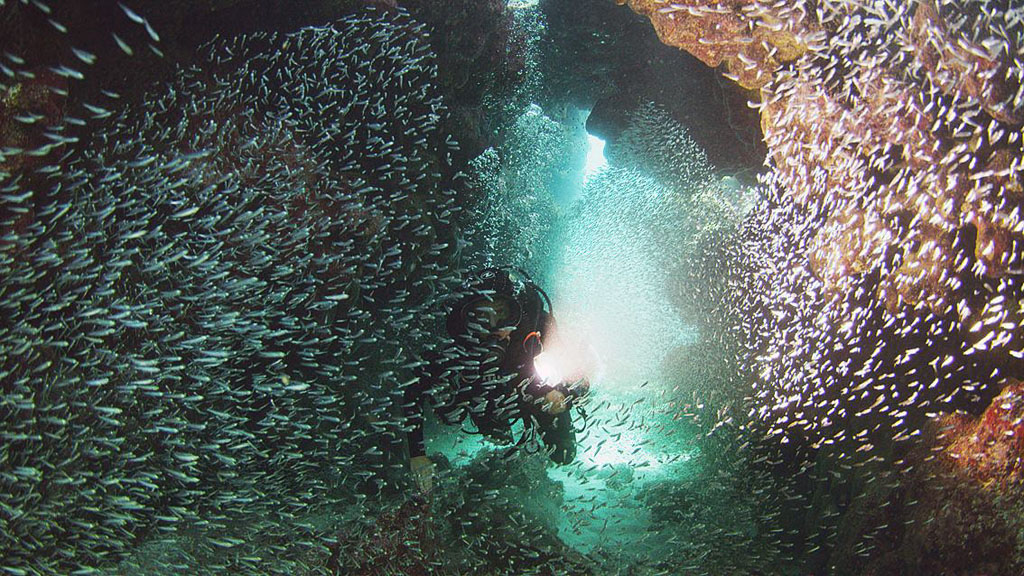 Diving Xcalak Yucatan Dive Trek XTC Poseta_0715