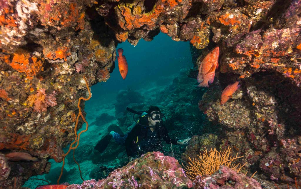 Diving Thailand Koh Ha diver and swim through with coral trout credit Pete McGee