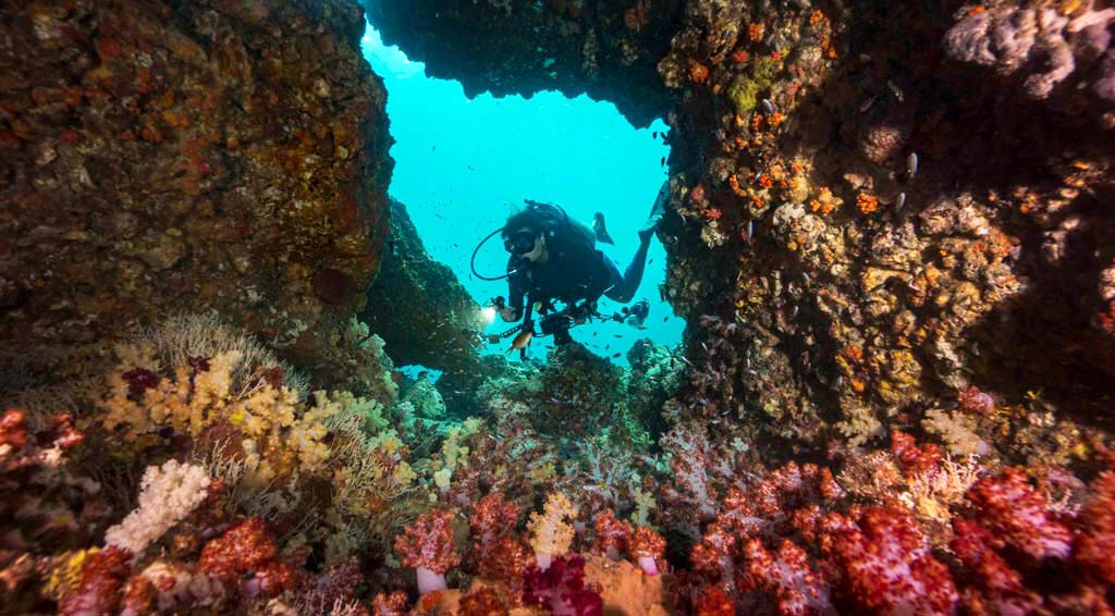 Koh Ha diver swim through and soft coral_57_94 credit Pete McGee