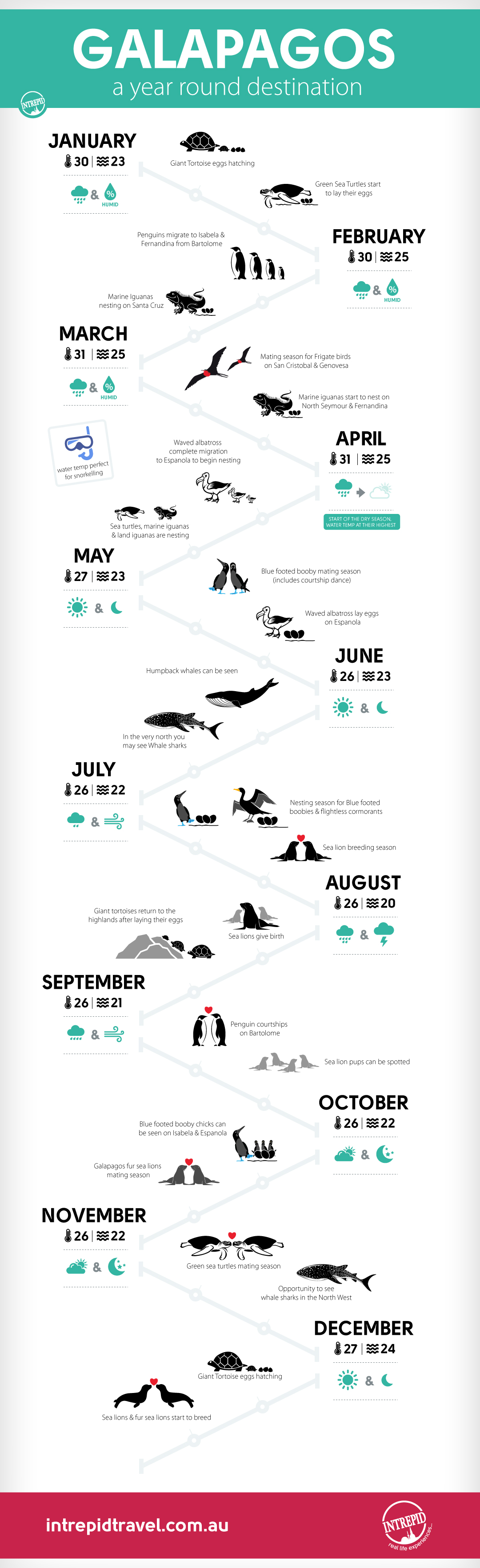 galapagos best time to dive