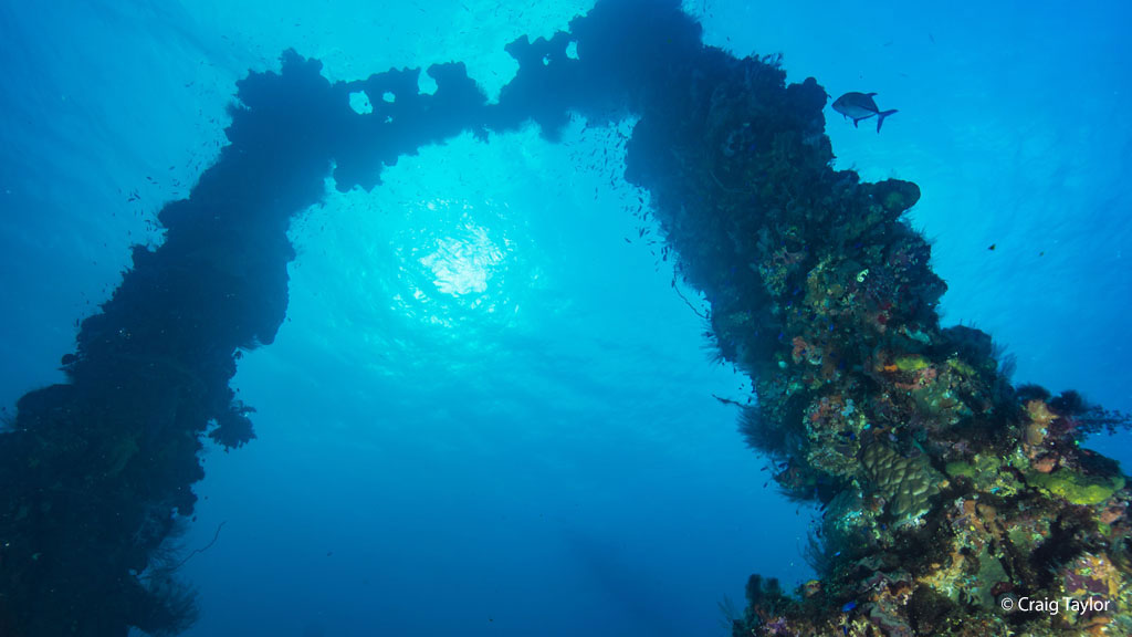 Dive Truk Lagoon Blue-Lagoon-Dive-Resort credit Craig Taylor_0069 andee