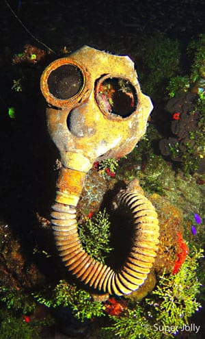 Here’s our guide to the best way to dive Truk Lagoon, the right time to visit, what you’ll see and a variety of accommodation/liveaboard options.