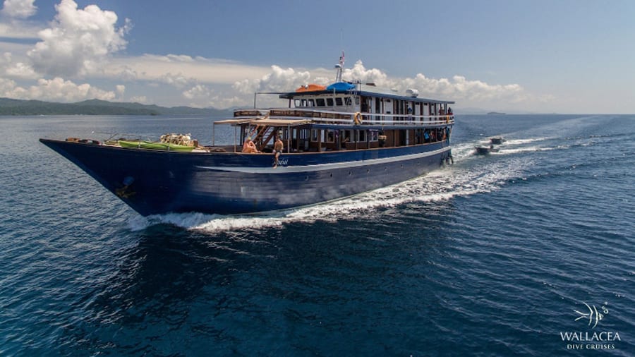 The MV Ambai with dive trips to Komodo, Raja Ampat, Banda Sea-Indonesia Hero