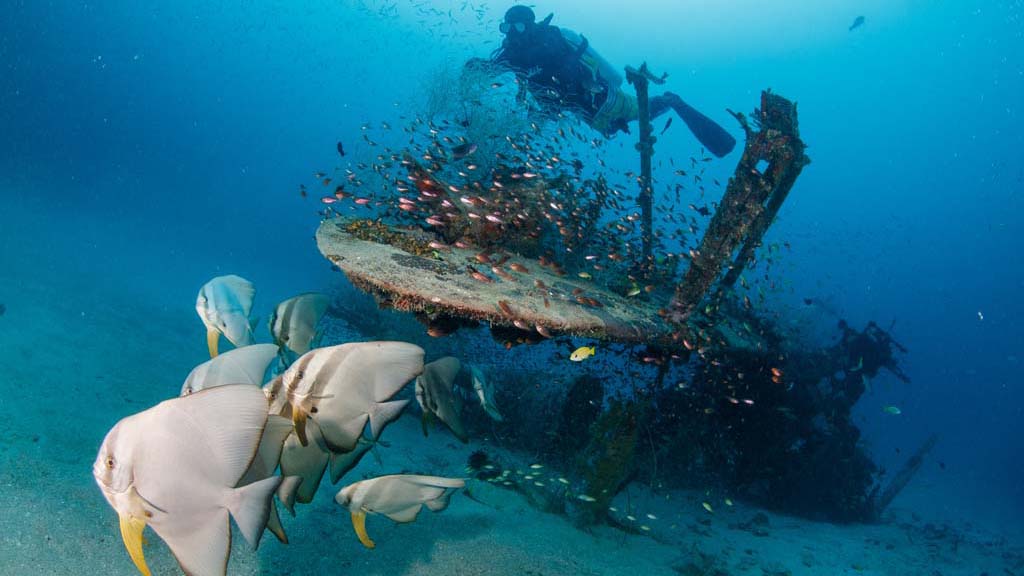 Dive papua new guinea lissenung island by grant thomas plane wreck