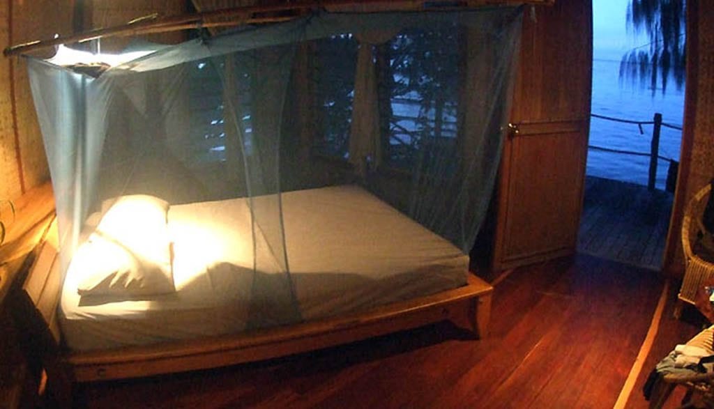 Dive gizo solomon islands sanbis bedroom