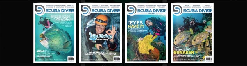 Scuba diver magazine banner