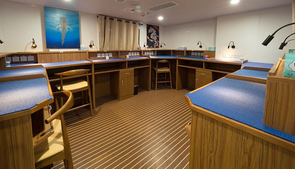 White manta camera room
