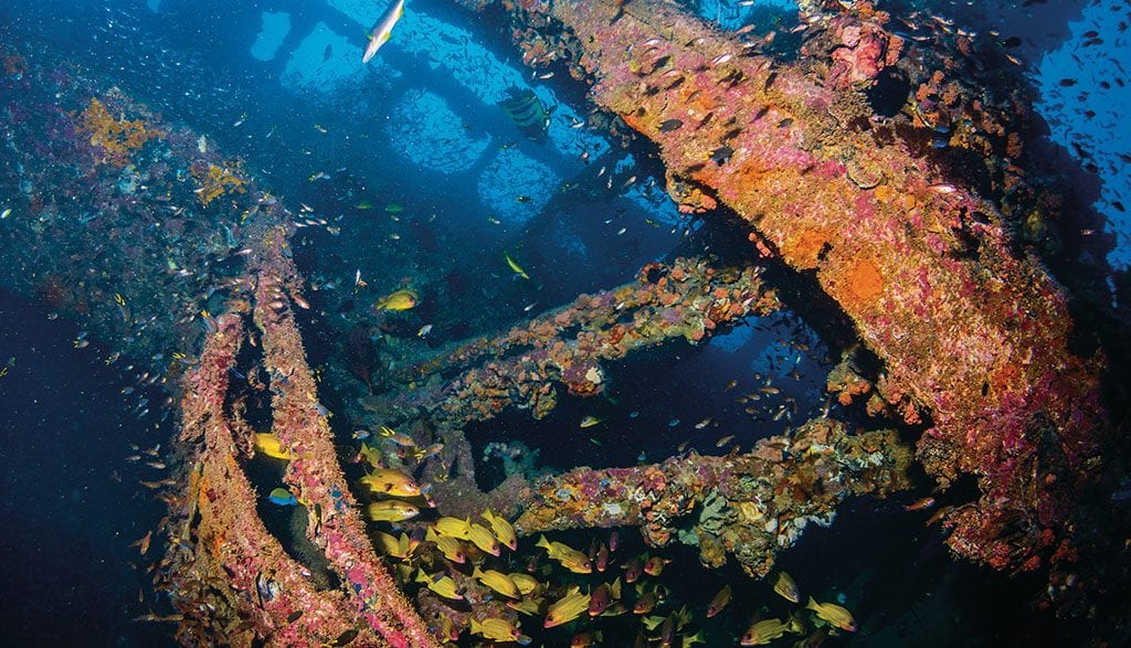 Yongala wreck credit tourism and events qld