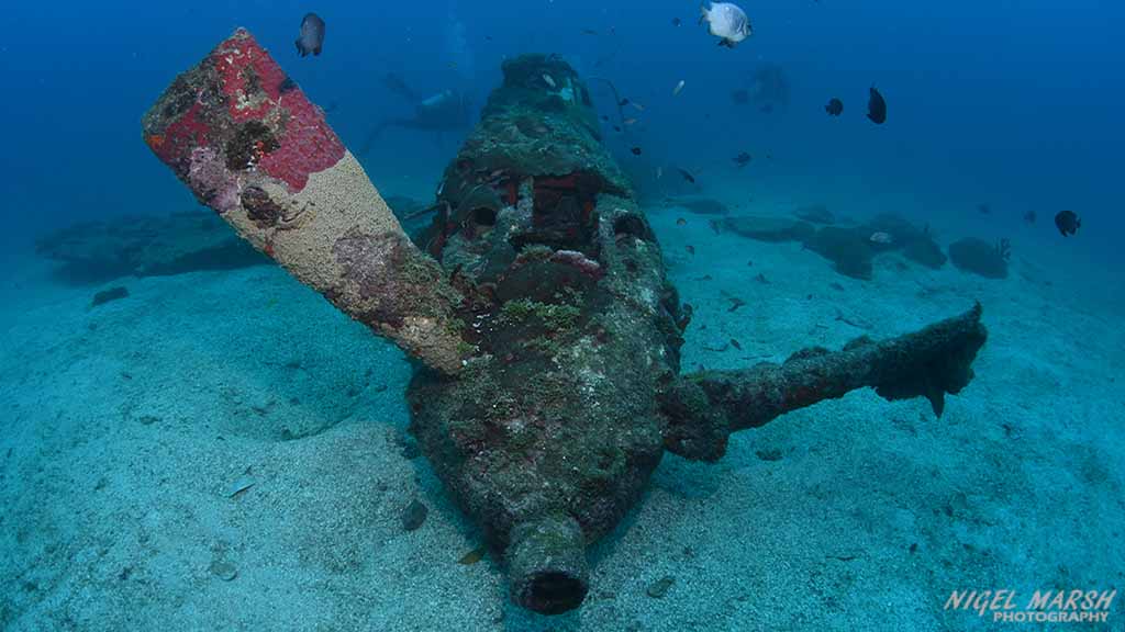 Aerocobra wreck munda FB