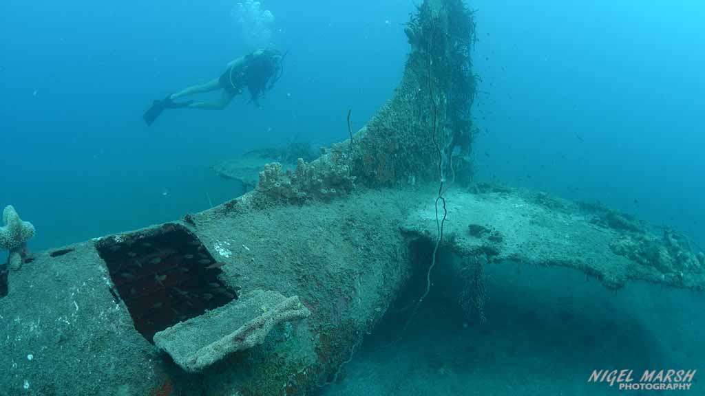 Aerocobra wreck munda FB