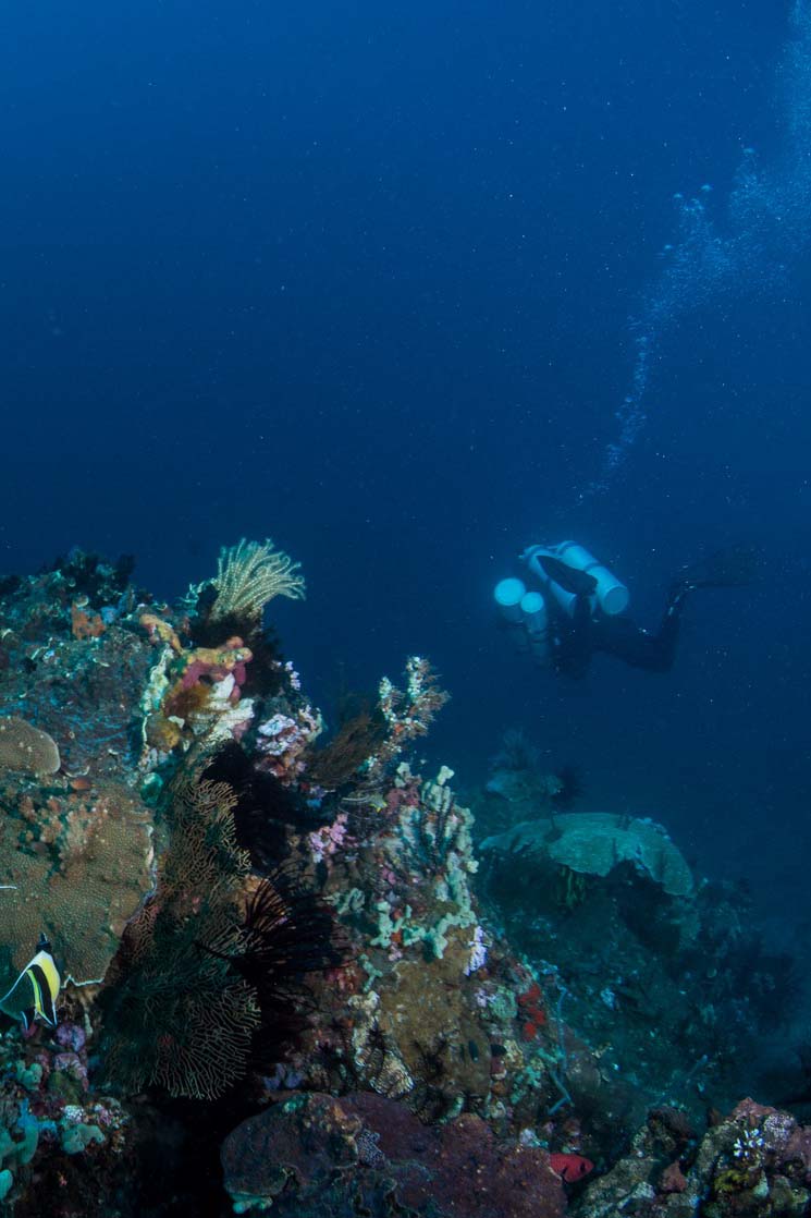 Diveplanit contributor and tech diving instructor Yvonne Press explains reasons to get into tech diving and how to go about it.