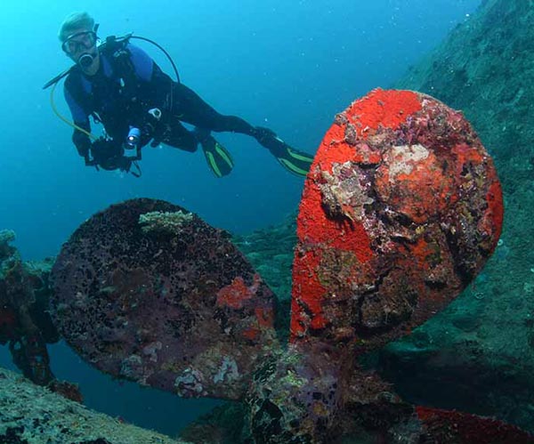 Dive solomons florida islands with raiders hotel and dive nigel marsh mrec600