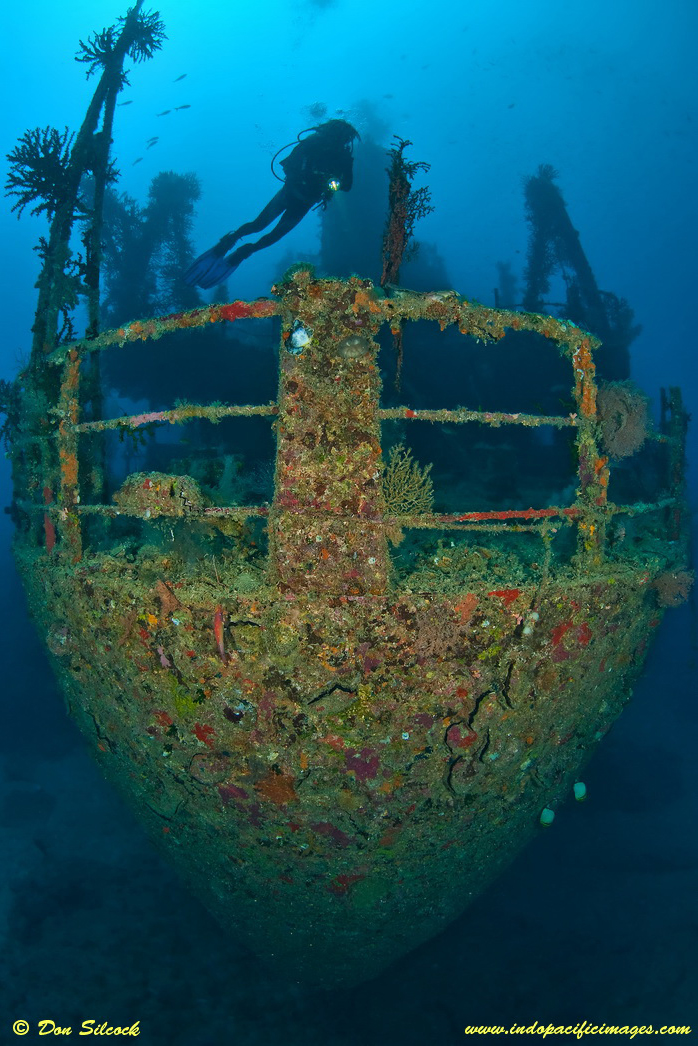 Diving Port Moresby, PNG, you’ll find it deserves more of your underwater attention than a mere layover en-route to Kimbe Bay, Tufi & Kavieng.