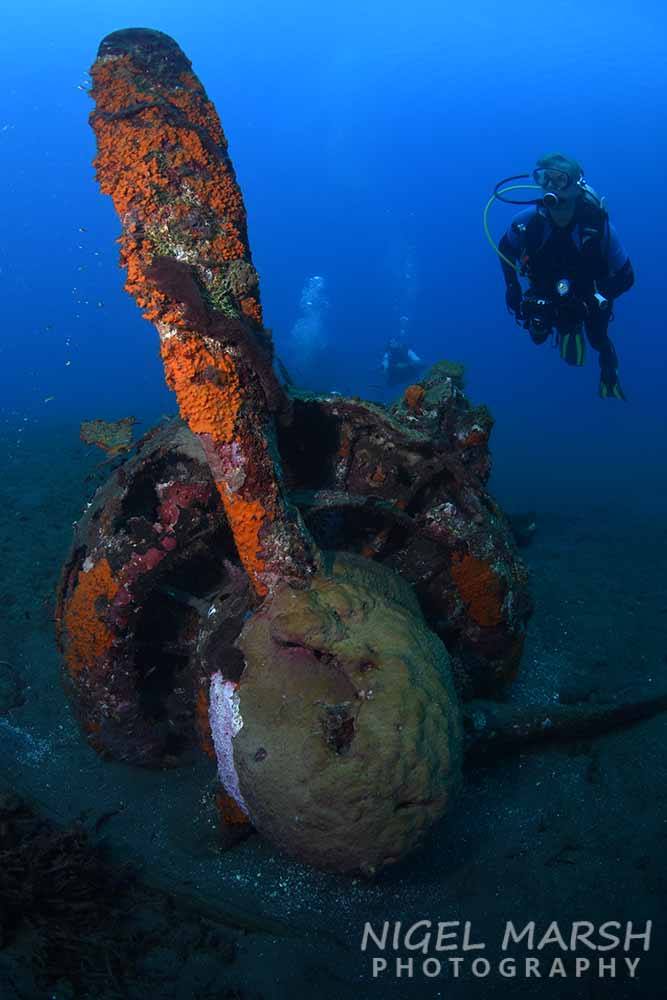 Dive Solomons’ Florida Islands with Raiders Hotel & Dive in Tulagi
7 Nights with breakfast / 5 days boat diving, transfers by speed boat from Honiara and flights ex-Brisbane. Just AUD 2999 per person twin-share