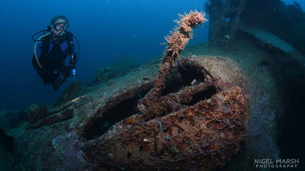 Tulagi mavis Diving Tulagi, Solomon Islands - for lovers of WWII wrecks and coral reefs