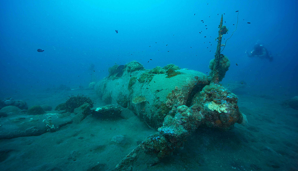 Diving walindi kimbe bay papua new guinea credit pete mcgee japanese zero 1