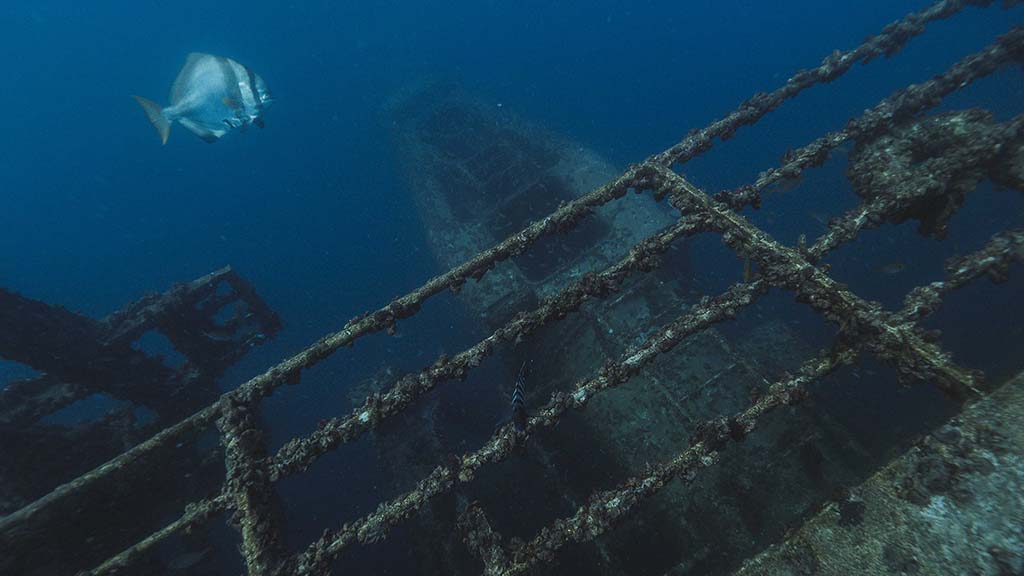 Hmas tobruk wreck batfish shipwreck queensland harriet spark