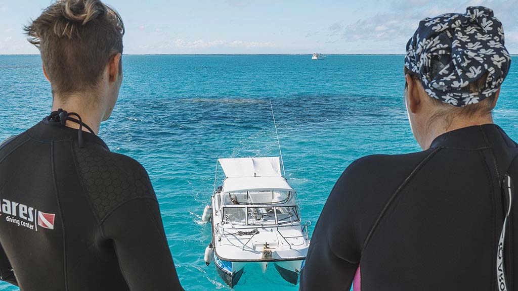 Lady musgrave island dive experience reef queensland harriet spark