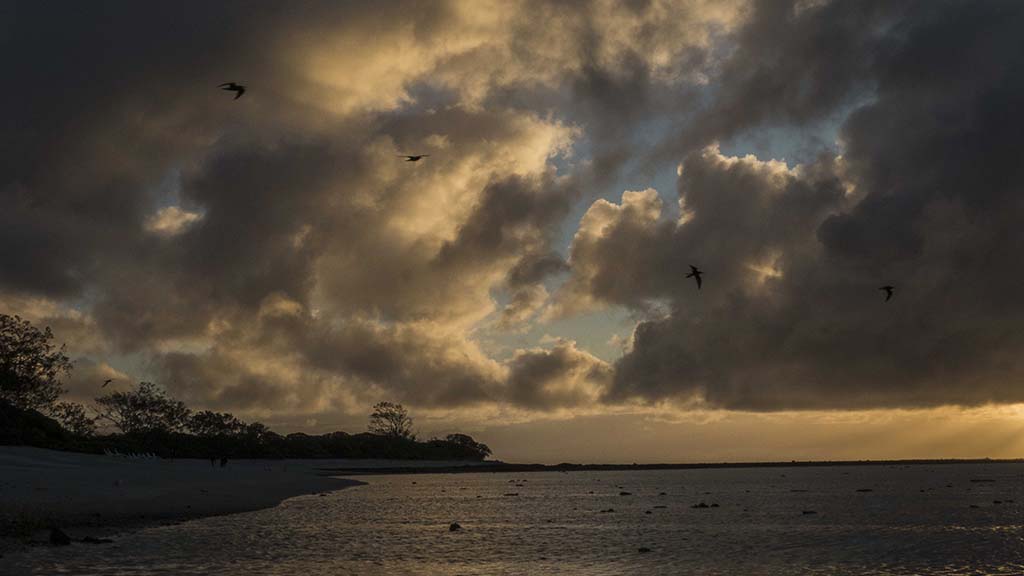 Sunrise lady elliot island queensland harriet spark