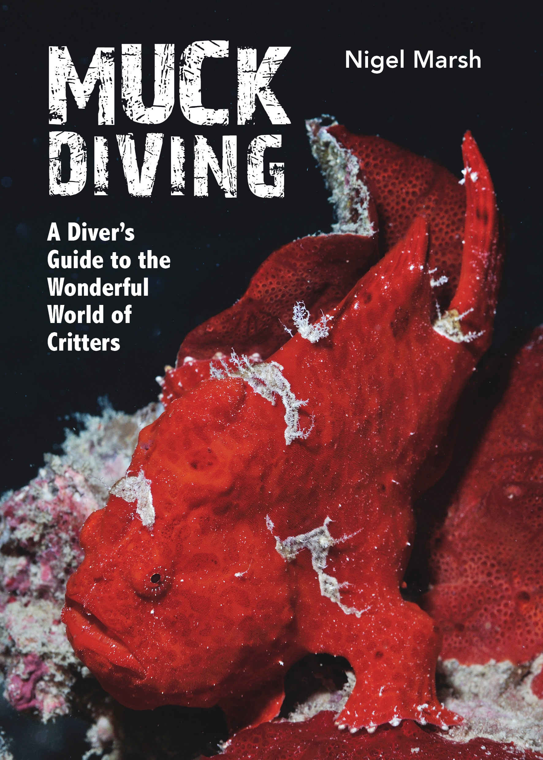 With some of the most exotic marine critters on the planet it is easy to see why divers are looking beyond the coral for the best muck diving.