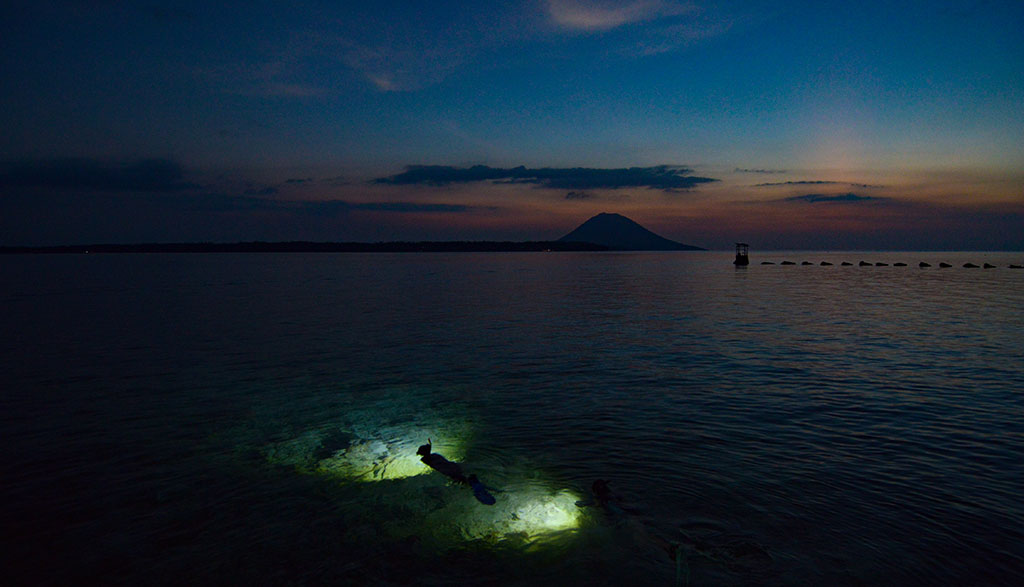 Siladen resort night snorkelling3