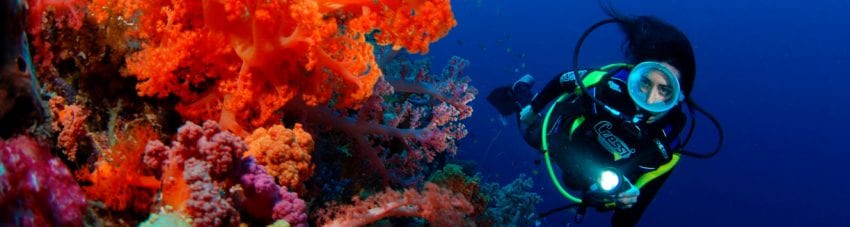 At the southern tip of the Coral Coast, diving Waidroka Bay Resort includes world class diving at Beqa Lagoon, Frigates Passage & Beqa's famous shark dive.