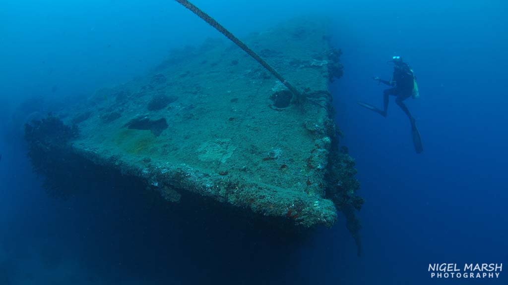 Best wreck diving coolidge vanuatu 2