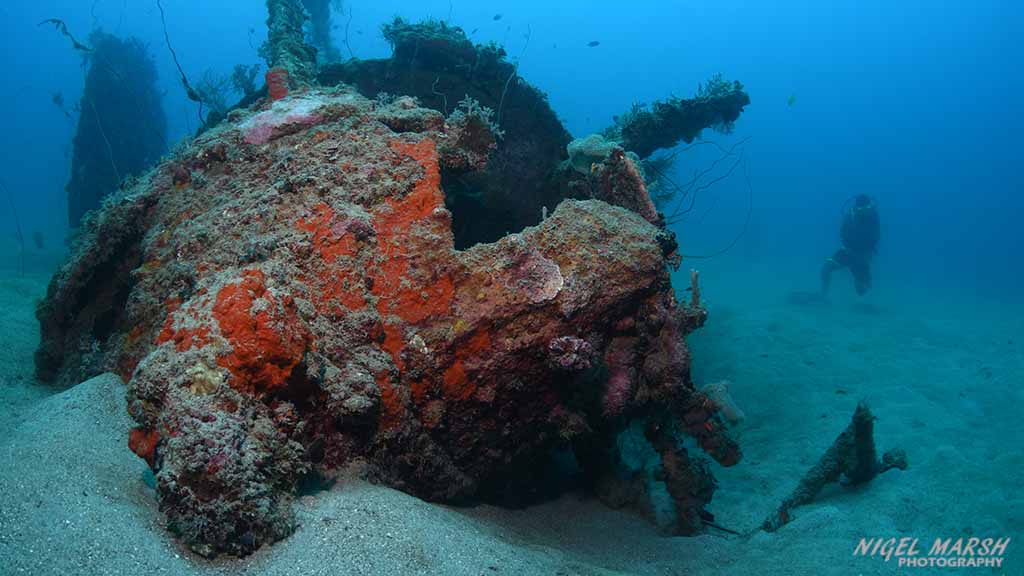 Best wreck diving solomon islands honiara 1