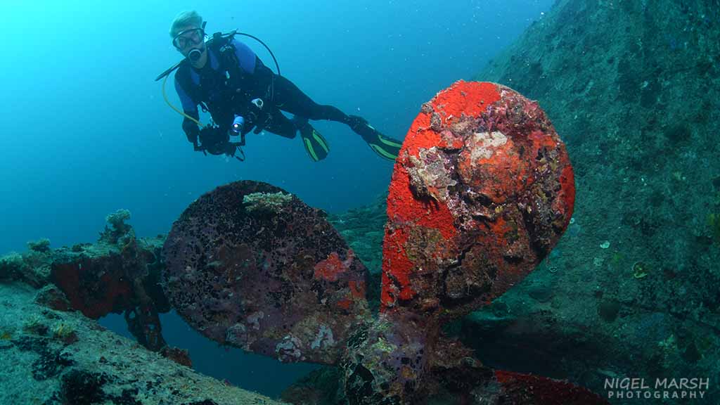 Best wreck diving solomon islands tulagi 1