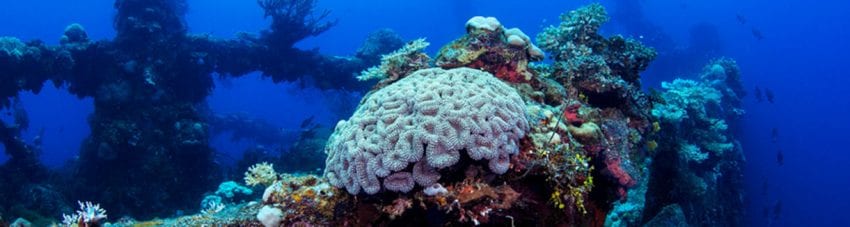 Best wreck diving truk lagoon shutterstock 1432666511 banner
