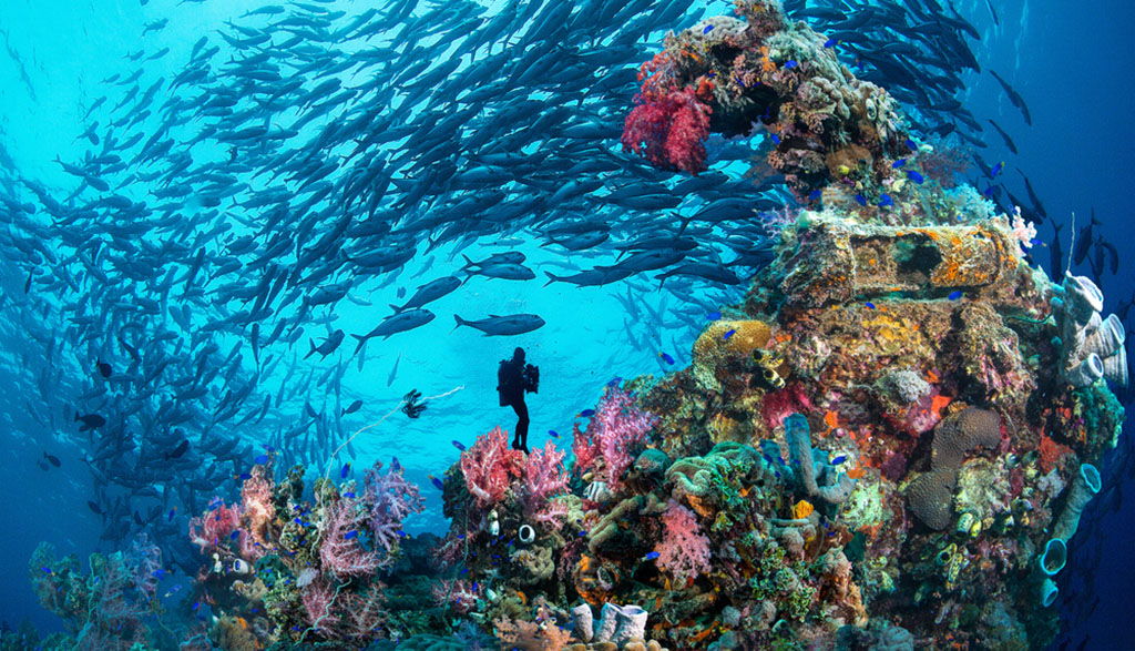 Best wreck diving truk lagoon